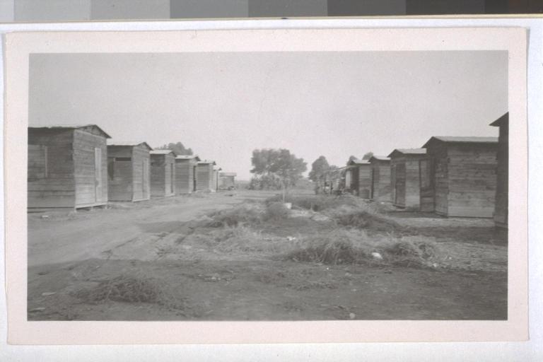 cotton camp shacks